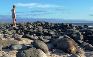 Hospedaje en Galapagos ChokoHost